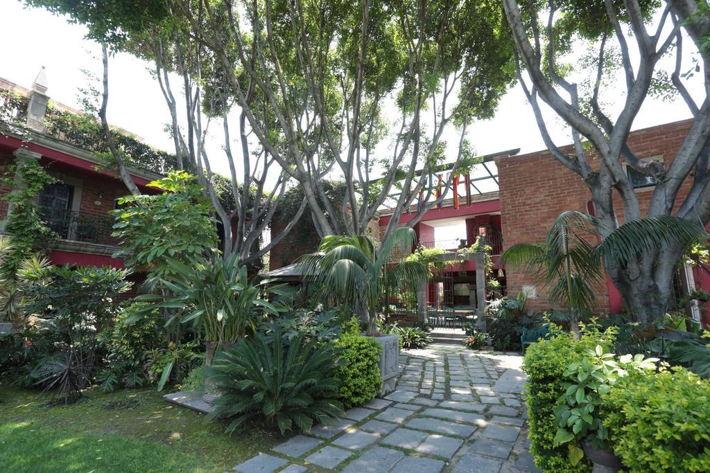 Las Calandrias Atlixco Phòng bức ảnh
