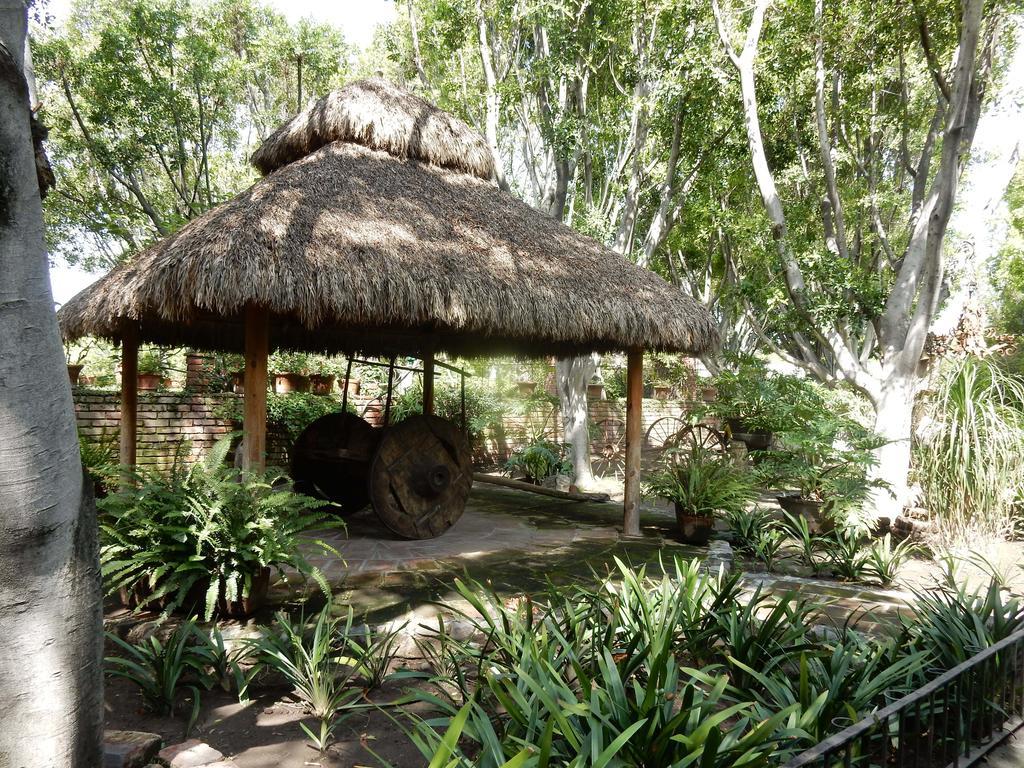 Las Calandrias Atlixco Ngoại thất bức ảnh